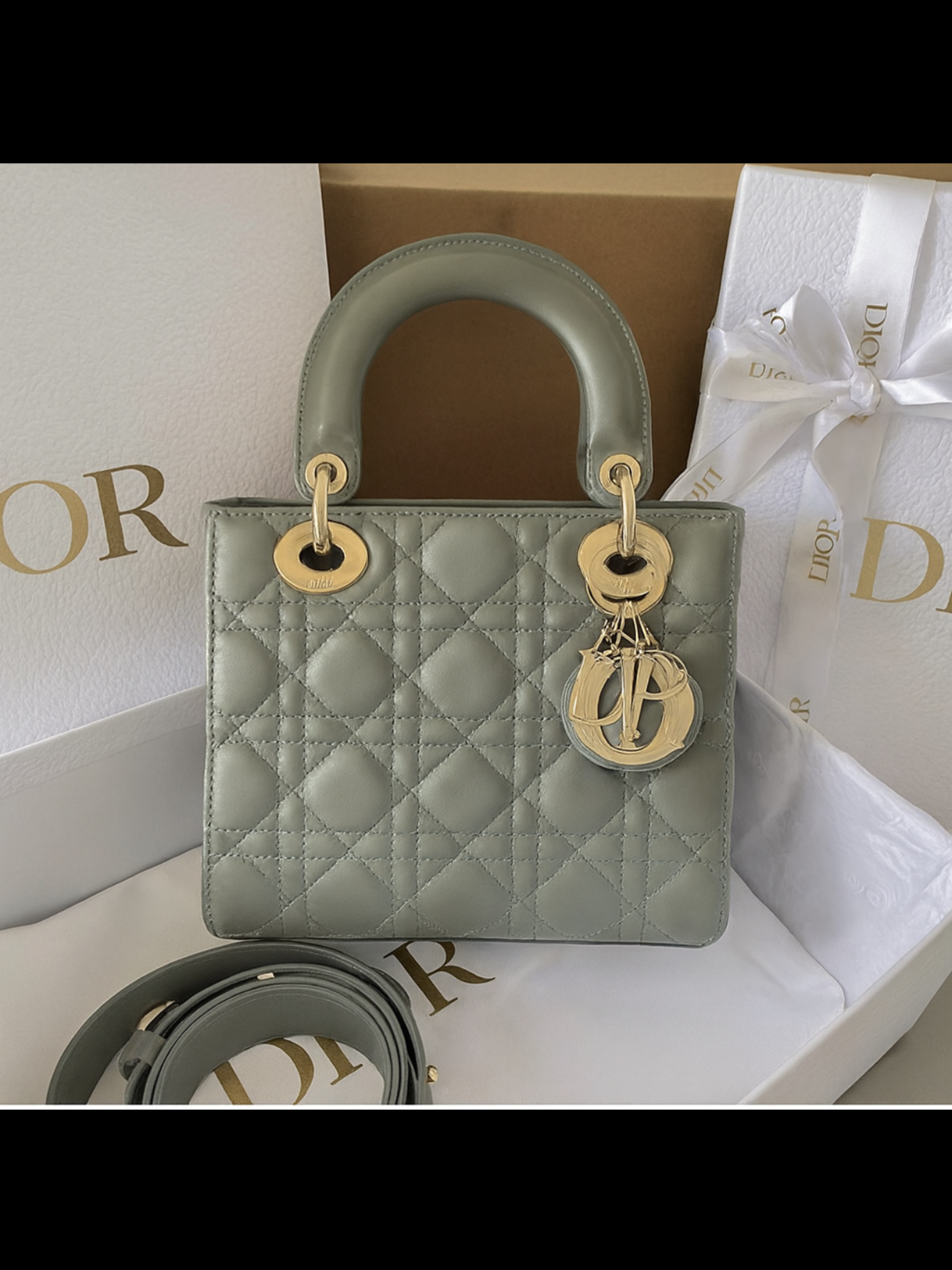 Mini Lady Dior.